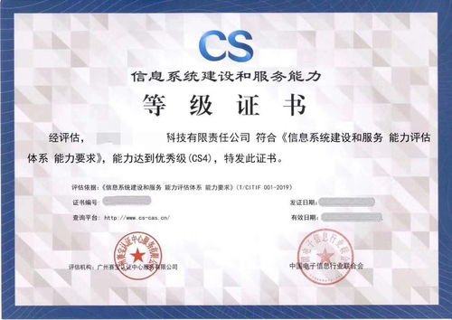 CS信息系統(tǒng)建設(shè)與服務(wù)能力評(píng)估體系在信息技術(shù)咨詢(xún)中的應(yīng)用