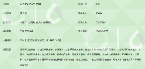 陜西匯才信息科技 專(zhuān)業(yè)信息技術(shù)咨詢(xún)的領(lǐng)航者